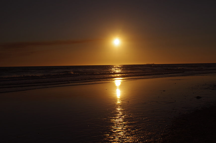 Golden Sunset Over Ocean Waves on Sandy Beach