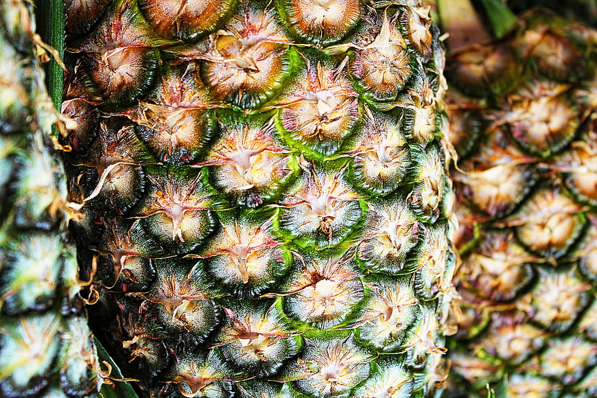 Macro Texture of Pineapple Skin Surface
