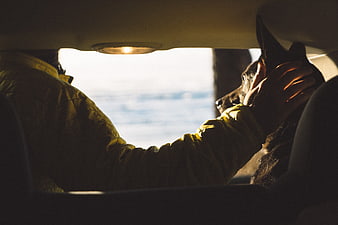 Person petting dog in car interior with ocean view