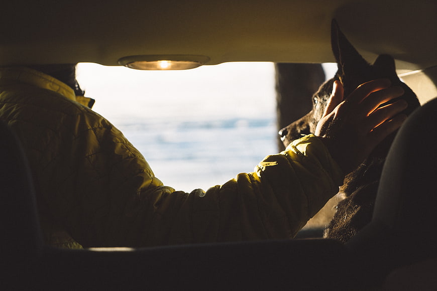 Person petting dog in car interior with ocean view