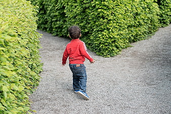 Toddler Boy Standing at Fork in Garden Path