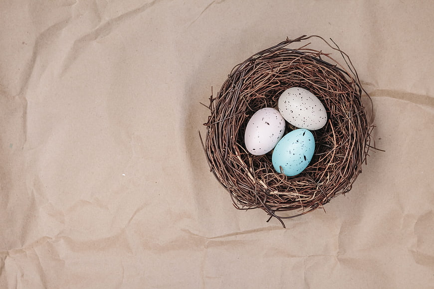 Bird nest with speckled eggs on crumpled brown paper background