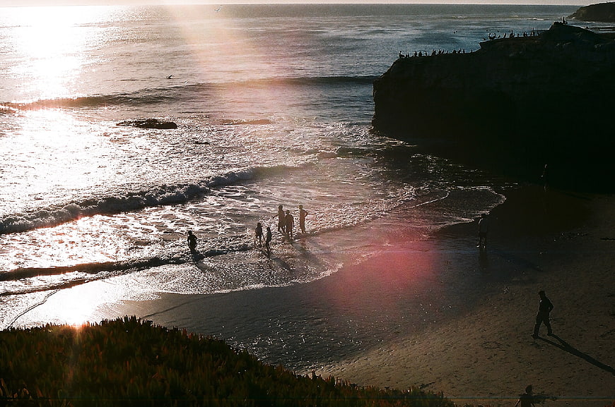 Silhouetted People Playing on Beach at Sunset