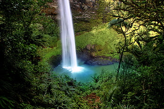 Bridal Veil Falls Waterfall in Lush New Zealand Rainforest