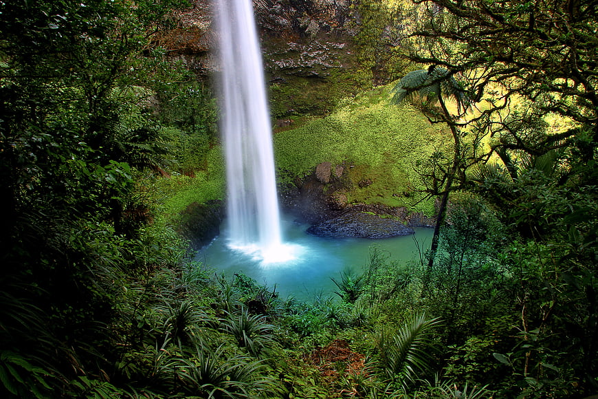 Bridal Veil Falls Waterfall in Lush New Zealand Rainforest