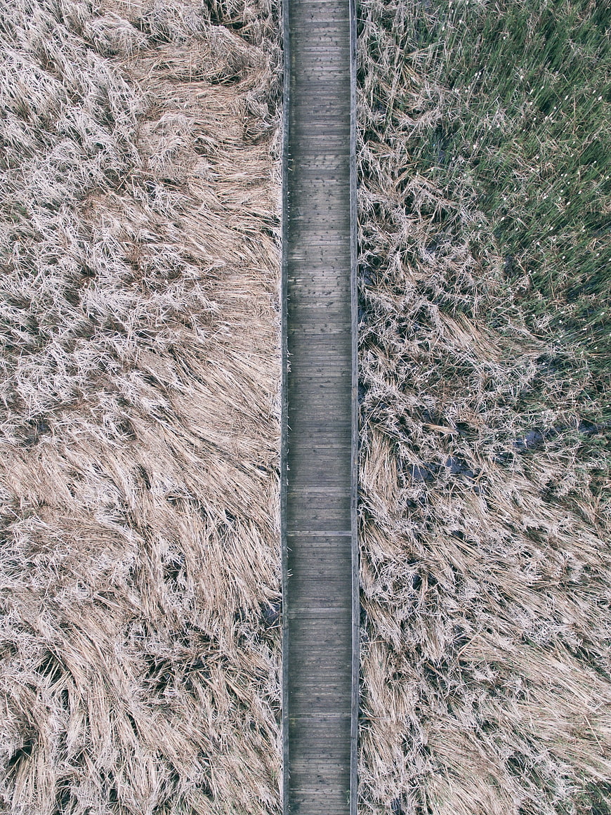 Aerial view of wooden boardwalk through dry marsh grass