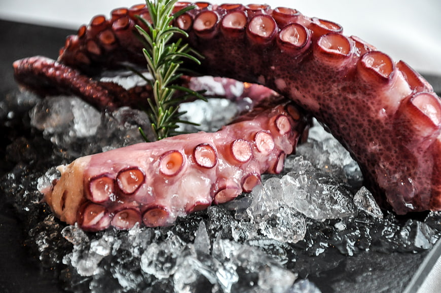 Fresh Octopus Tentacles on Ice with Rosemary Garnish