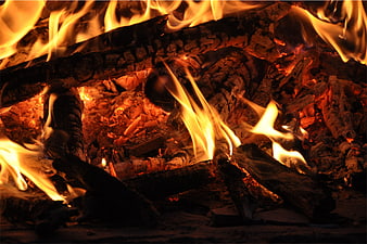 Close-up of burning wood logs and bright orange flames
