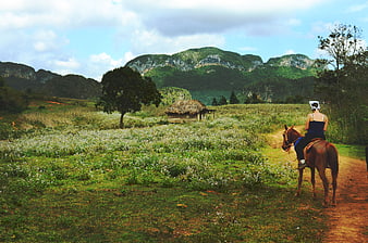 Woman Riding Horse on Dirt Path in Rural Landscape