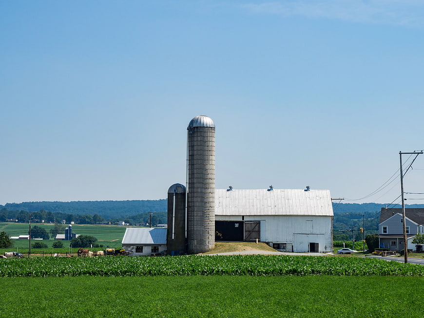White Barn and Silo in Green Cornfield Landscape