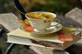 Tea cup with autumn leaves on a book outdoors