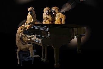 Baboons playing piano and singing in a concert