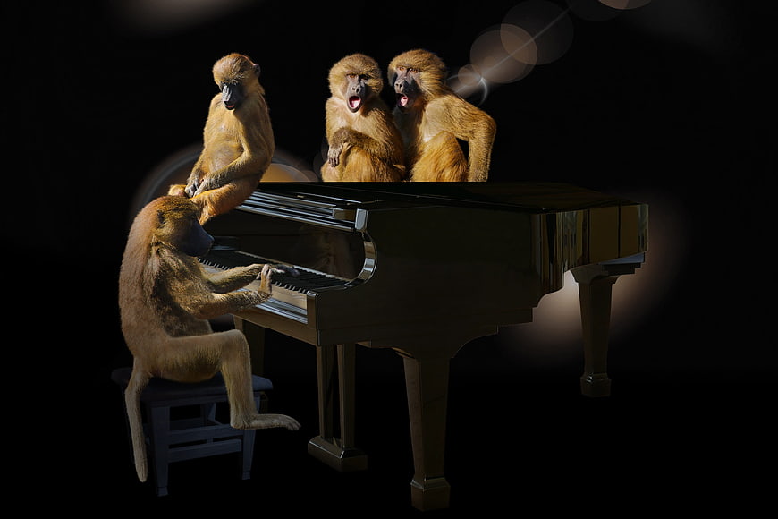 Baboons playing piano and singing in a concert