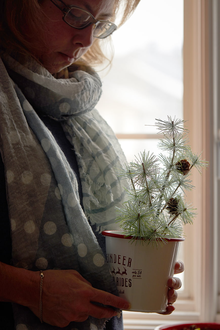 Woman holding small pine tree in vintage mug by window