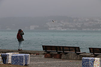 Woman Taking Photo of Seagull by Foggy Sea