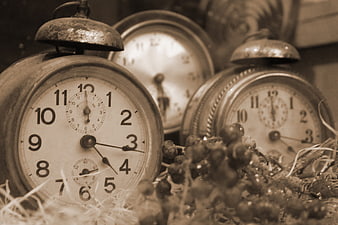 Vintage Alarm Clocks in Nest with Dried Berries