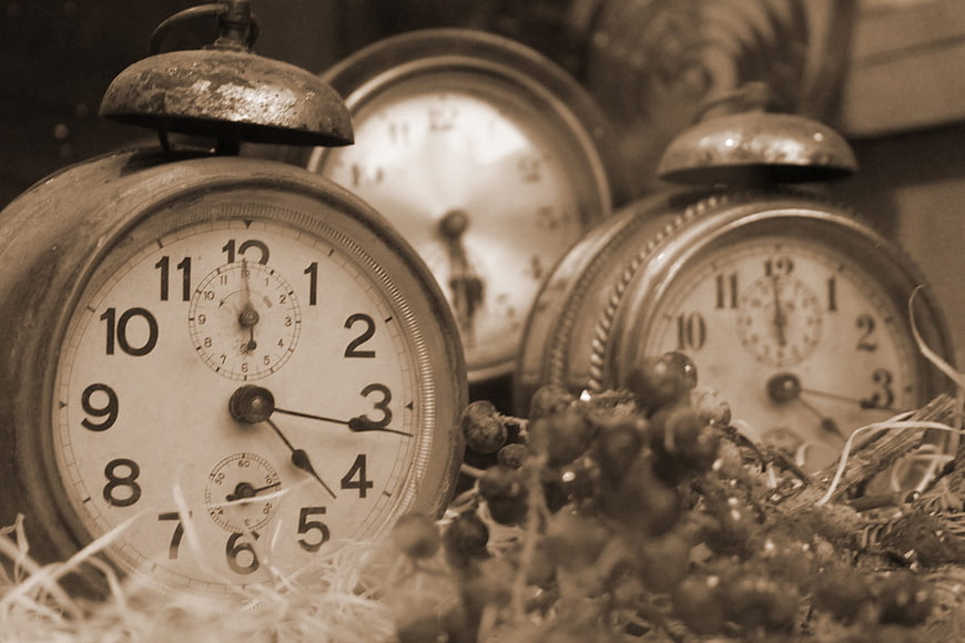 Vintage Alarm Clocks in Nest with Dried Berries