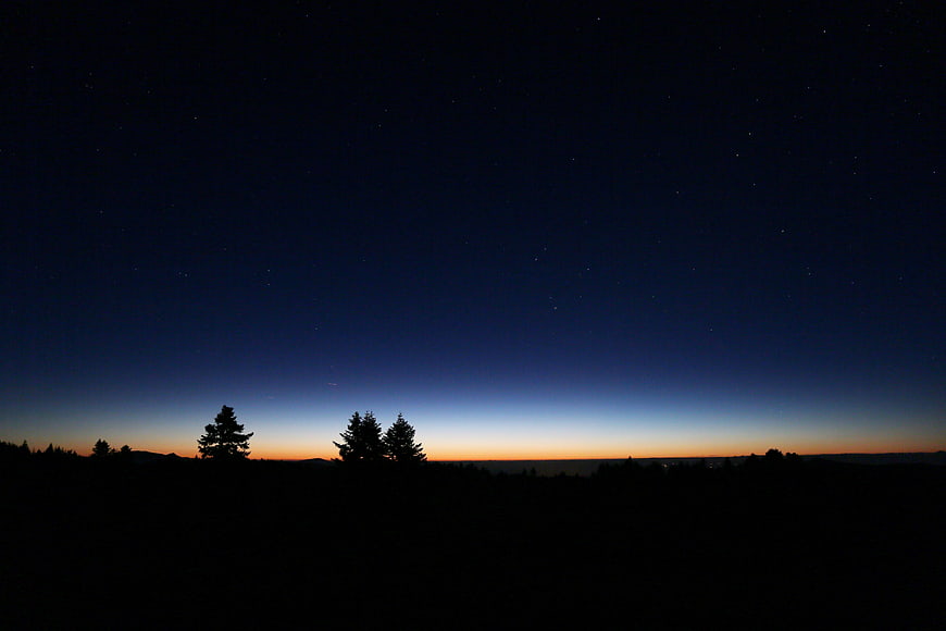 Silhouette of pine trees against a starry twilight sky