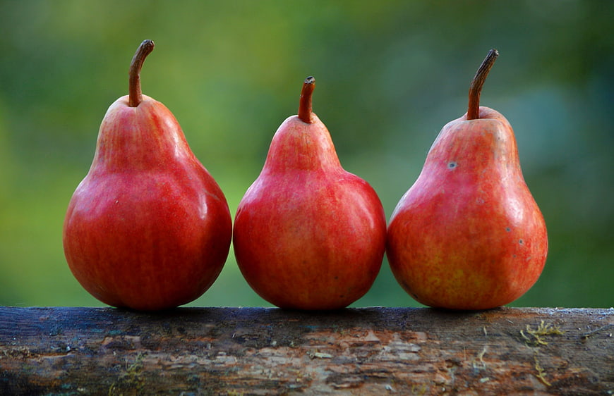 Three Red Pears on Wooden Log with Green Background