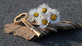Vintage Key with Daisies on Wood