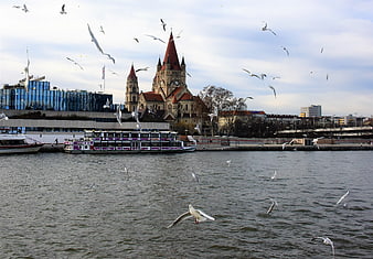 St. Francis of Assisi Church and Seagulls on the Danube River in Vienna