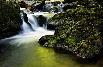 Mossy Rocks and Flowing Stream in Forest