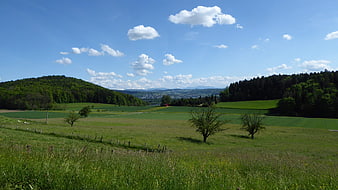 Scenic Green Pasture Landscape with Rolling Hills and Blue Sky