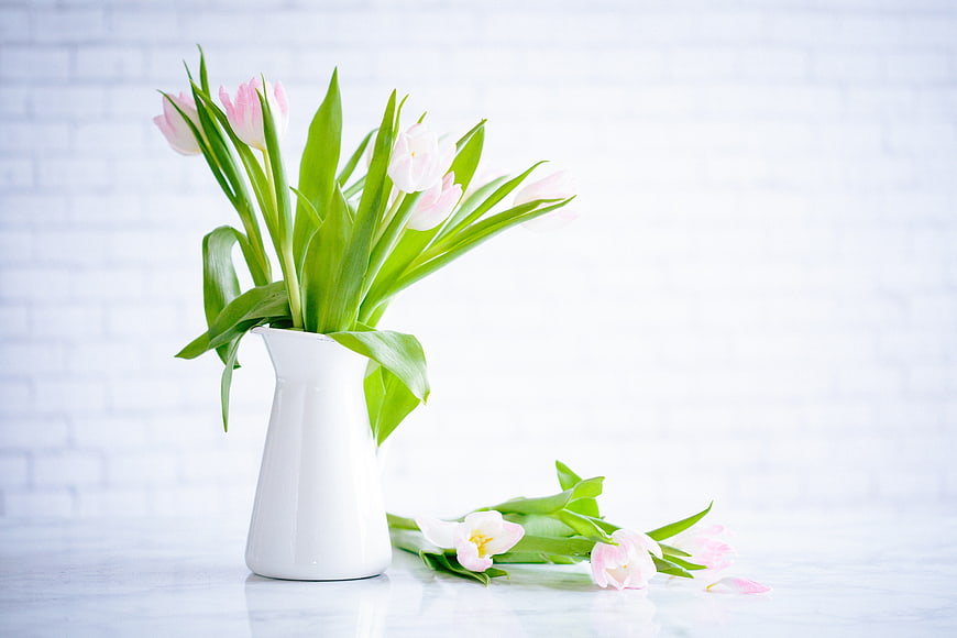 Pink Tulips in White Vase on Marble Table