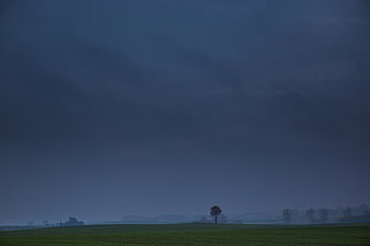 Lone Tree in Green Field Under Dark Stormy Sky
