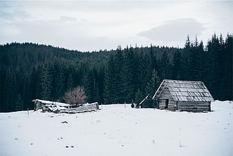 Rustic wooden cabin in snowy winter forest landscape