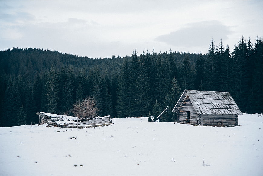 Rustic wooden cabin in snowy winter forest landscape