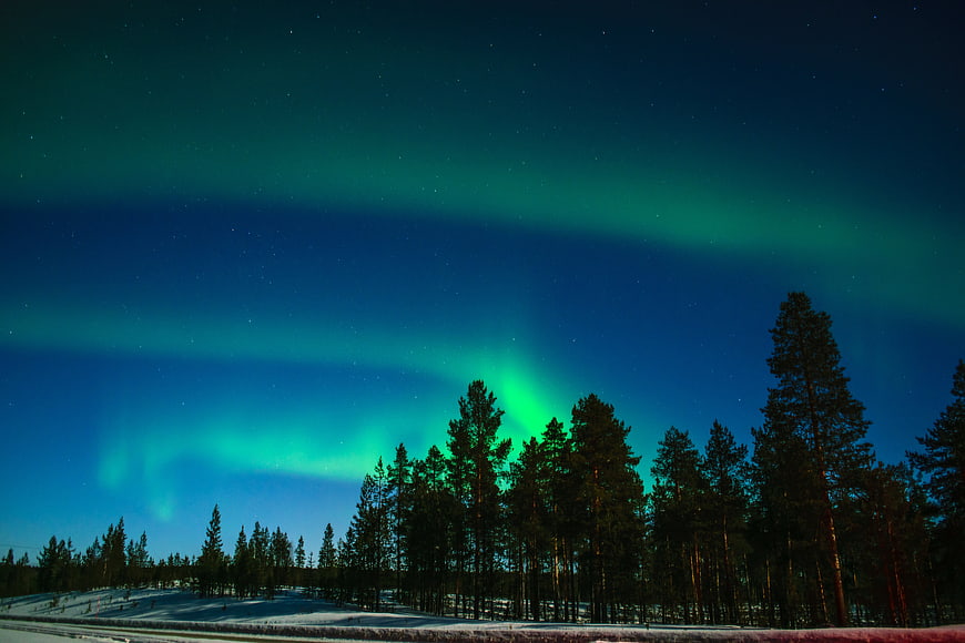 Green aurora borealis over snowy forest landscape in Finland