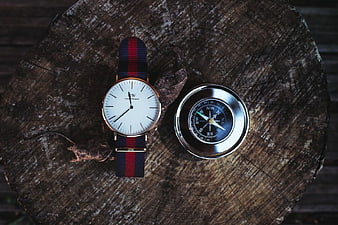 Vintage Watch and Compass on Wooden Log
