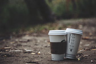 Two Starbucks Coffee Cups on Forest Path