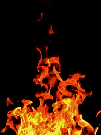 Vibrant Orange and Yellow Flames Against Black Background
