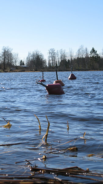 Red Navigation Buoys Floating in Blue Lake Water