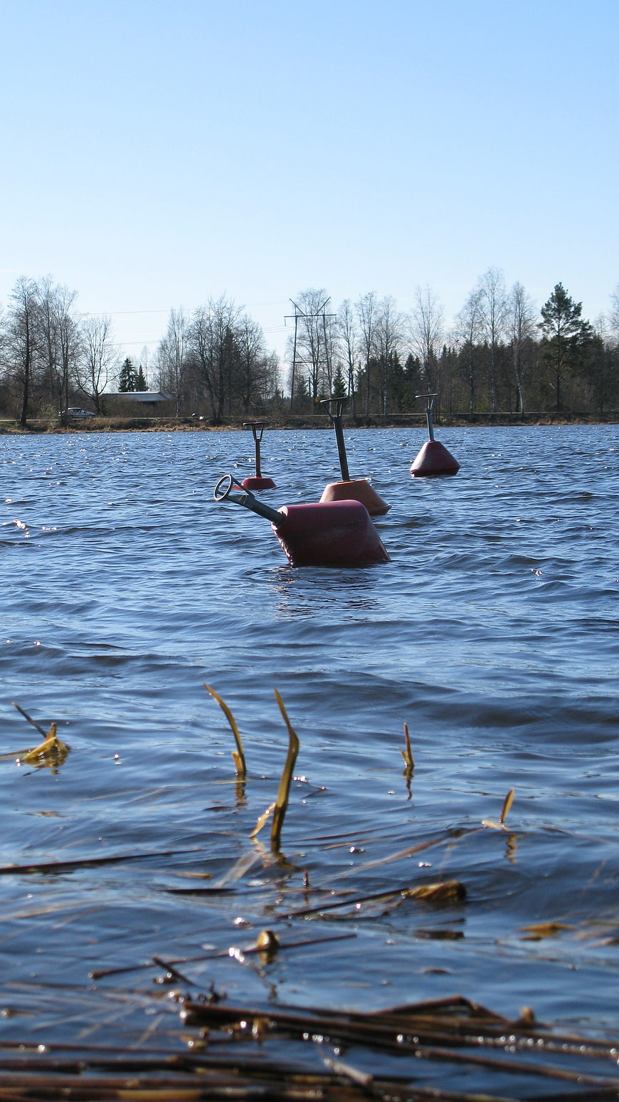 Red Navigation Buoys Floating in Blue Lake Water