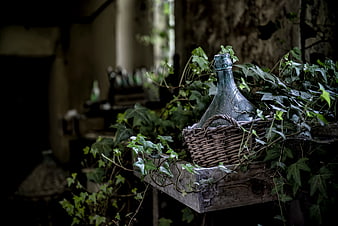 Vintage glass bottle in wicker basket with ivy