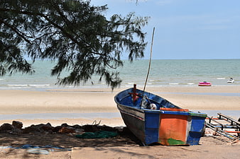 Colorful Fishing Boat on Sandy Beach with Pine Tree