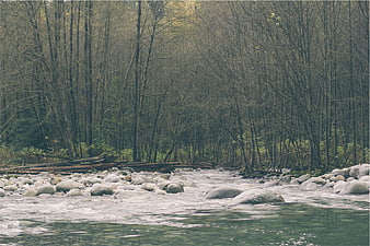 Flowing River Through Rocky Forest Stream in Nature