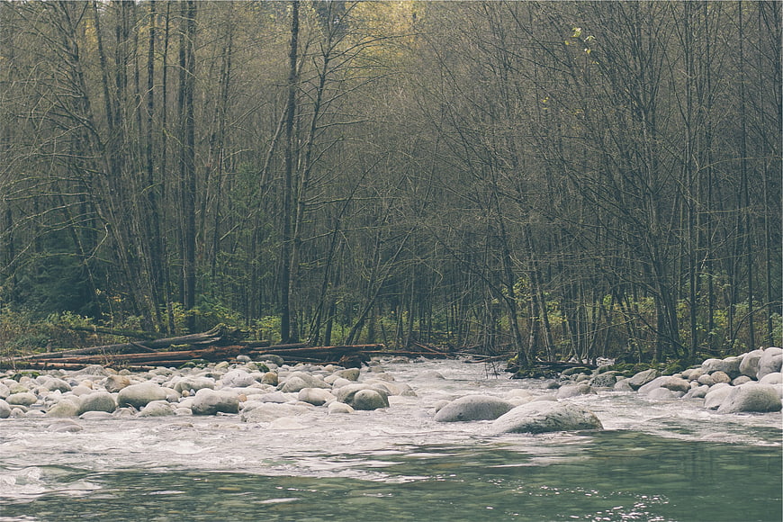 Flowing River Through Rocky Forest Stream in Nature