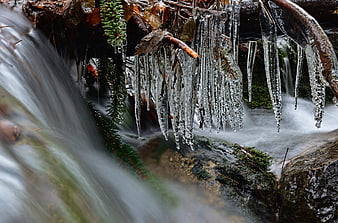 Frozen icicles hanging over a flowing winter creek