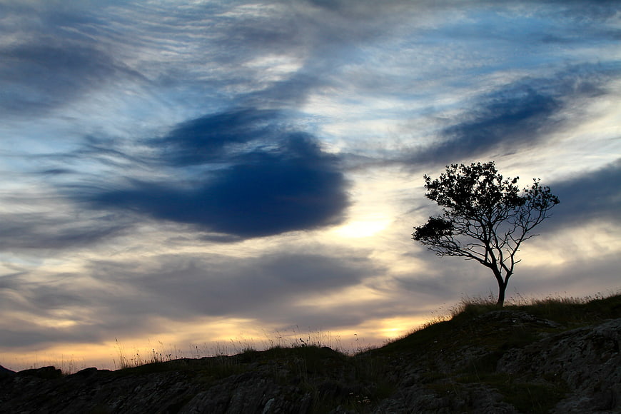 Silhouette of a lone tree on a rocky hill against a dramatic cloudy sky