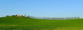Panoramic Tuscany Landscape with Cypress Trees and Farmhouse