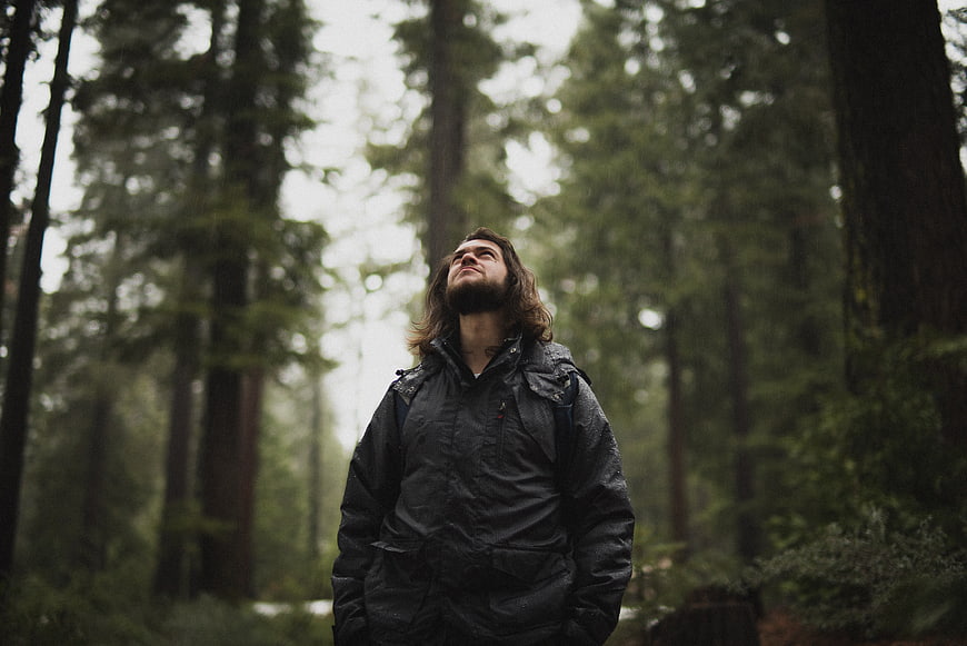 Man in Rain Jacket Looking Up in Misty Forest