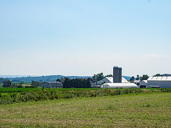 Rural Farm Landscape with Silos and Green Fields