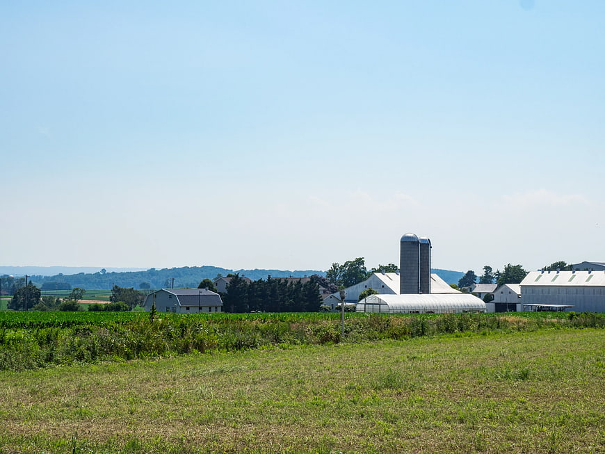 Rural Farm Landscape with Silos and Green Fields