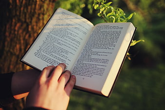 Person reading open book outdoors in sunlight