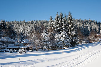 Snowy Winter Landscape with Pine Forest and Chalets