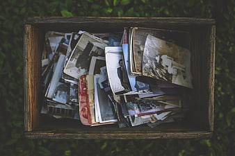 Vintage photographs in a rustic wooden box on grass